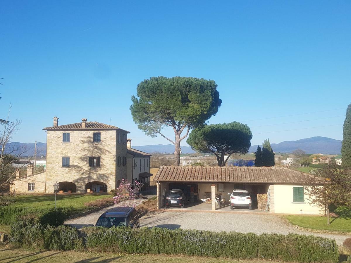 Canto De' Bacci Foiano Della Chiana Dış mekan fotoğraf